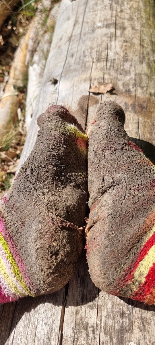 EchteHerrinLola's tweet photo. Resting after the mess. Mud-drenched, sun-soaked, and fully earned.
These socks have seen the trail and didnโt back down.
No regrets, just dirt.
#MuddySocks #TrailProof #NatureOnFeet #SocksVsWild #DirtLife #OutdoorRaw #MessyWalk #SockWarrior #NatureConnection #WornWithPride https://t.co/0wWVXa9vKR
