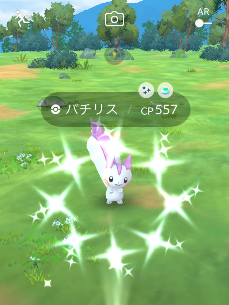 pokenekochan's tweet photo. 暑過ぎて🫠ほとんど外に行けなかったけど、狙ってた🐿️が出てくれた。やったー。 https://t.co/sCWF6uSCNV