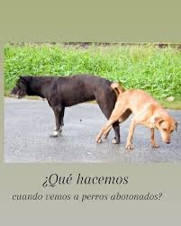 GRIETA Rodriguez (@grietarodriguez) on Twitter photo <a href="/SantiGiorgetta/">Santiago Giorgetta</a> <a href="/juliamengo/">Julia Mengolini</a> <a href="/futurockOk/">Futurock.fm</a> Mengolini entrando a los estudios de futurock con el hermano <a href="/SantiGiorgetta/">Santiago Giorgetta</a> <a href="/juliamengo/">Julia Mengolini</a> <a href="/futurockOk/">Futurock.fm</a> Mengolini entrando a los estudios de futurock con el hermano