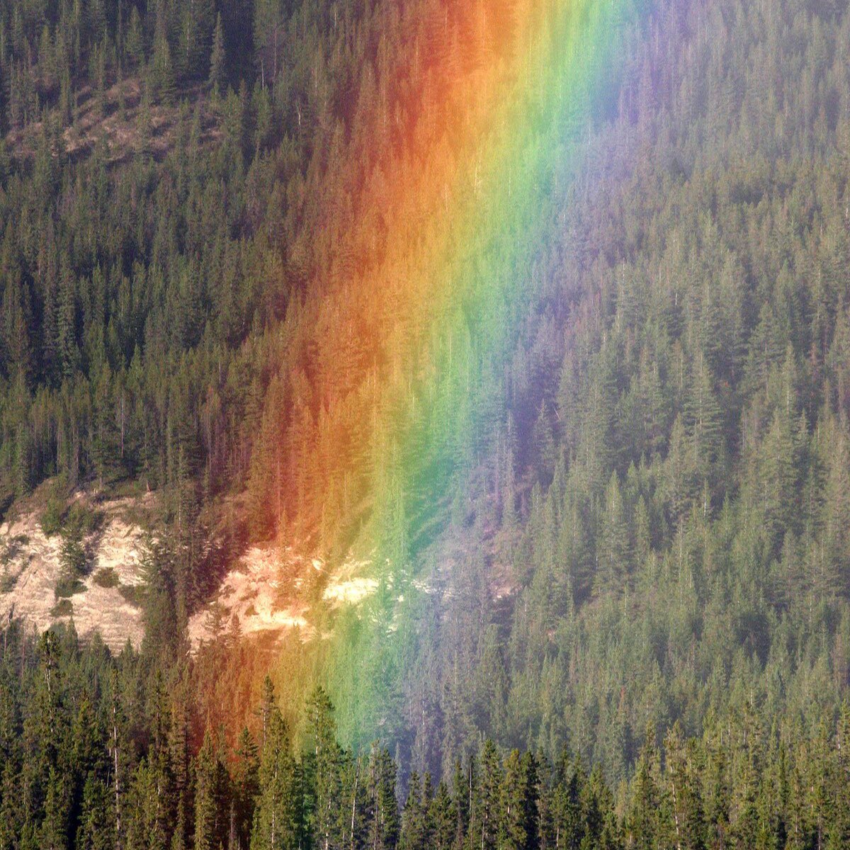 KEVC4T's tweet image. How to break alpha males