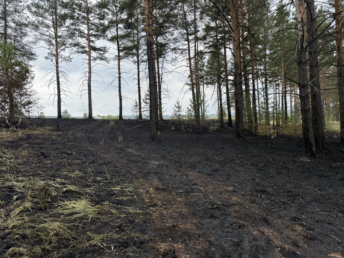 ОЙ, ХЭЭРИЙН 4 ТҮЙМРИЙГ УНТРААЖ, 6 ТҮЙМРИЙГ ЦУРАМД ОРУУЛЛАА

Улсын хэмжээнд өнөөдөр /2025.06.28/ 17:00 цагийн байдлаар Булган аймгийн Бугат, Хөвсгөл аймгийн Улаан-Уул, Сэлэнгэ аймгийн Алтанбулаг сумын "Бөхөө", "Гурван цагаан толгой" гэх газарт гарсан 4 ой хээрийн гал түймрийг