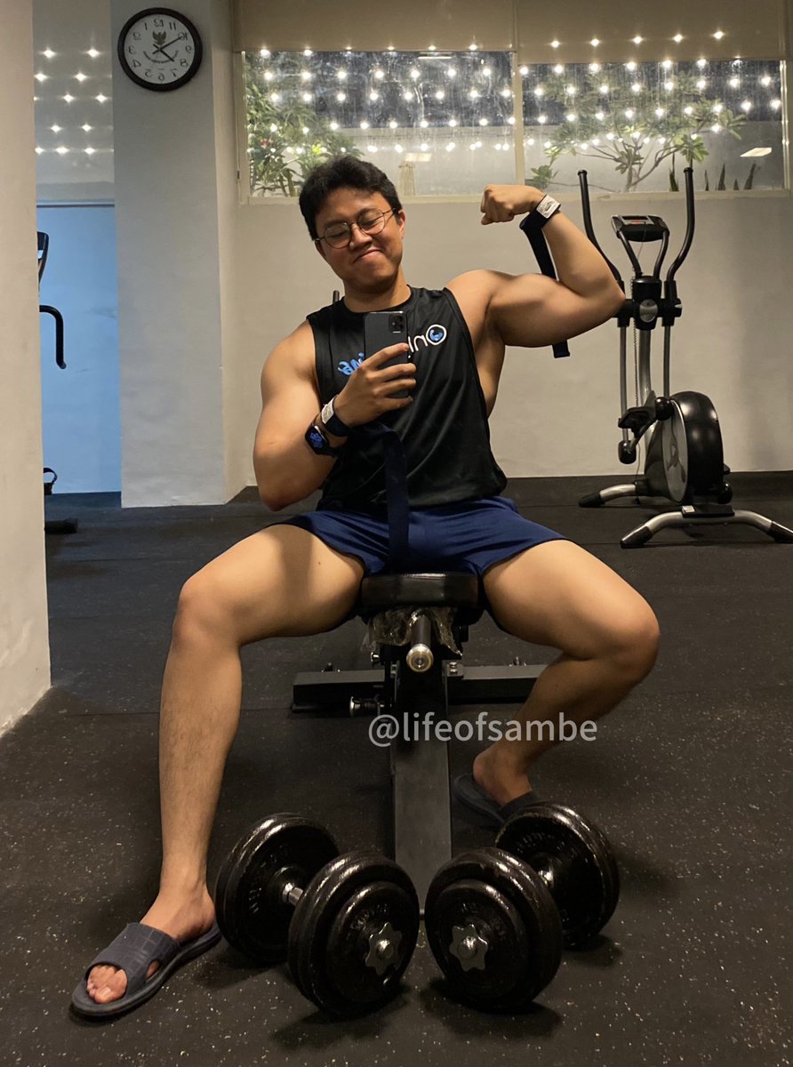 lifeofsambe's tweet image. gains gains gains