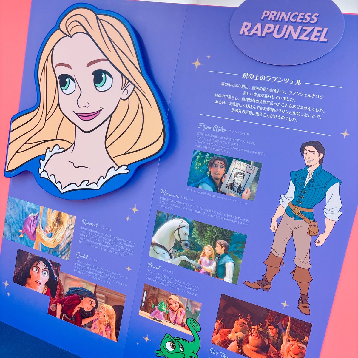 【yayaya様】Pixar ディズニープリンセス yayaya様】Pixar ディズニープリンセス Amazon.co.jp
