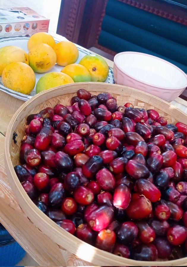 خيرات البلد  ما شاء الله 🤩