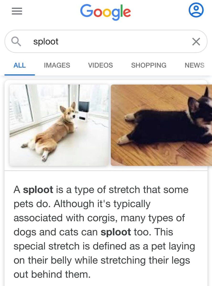 WholesomeMemes (@wholesomememe) on Twitter photo 