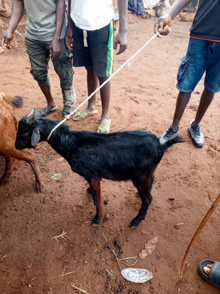 Just when I thought my beloved mother’s burial ceremony was over, I learned I had to give something back to her family in exchange. A life for a life, as Igbo tradition demands. It’s a beautiful custom, one I never fully understood until now. My late mother used to mention it,