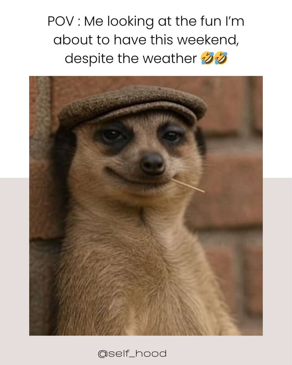 Weekend mood locked in 😁😁
Weather? Irrelevant. Vibes? Unmatched. 

#selfhood #weekendvibes✌️ #whatweather #fyp #explorepage✨ #trendreels #meme #saturday