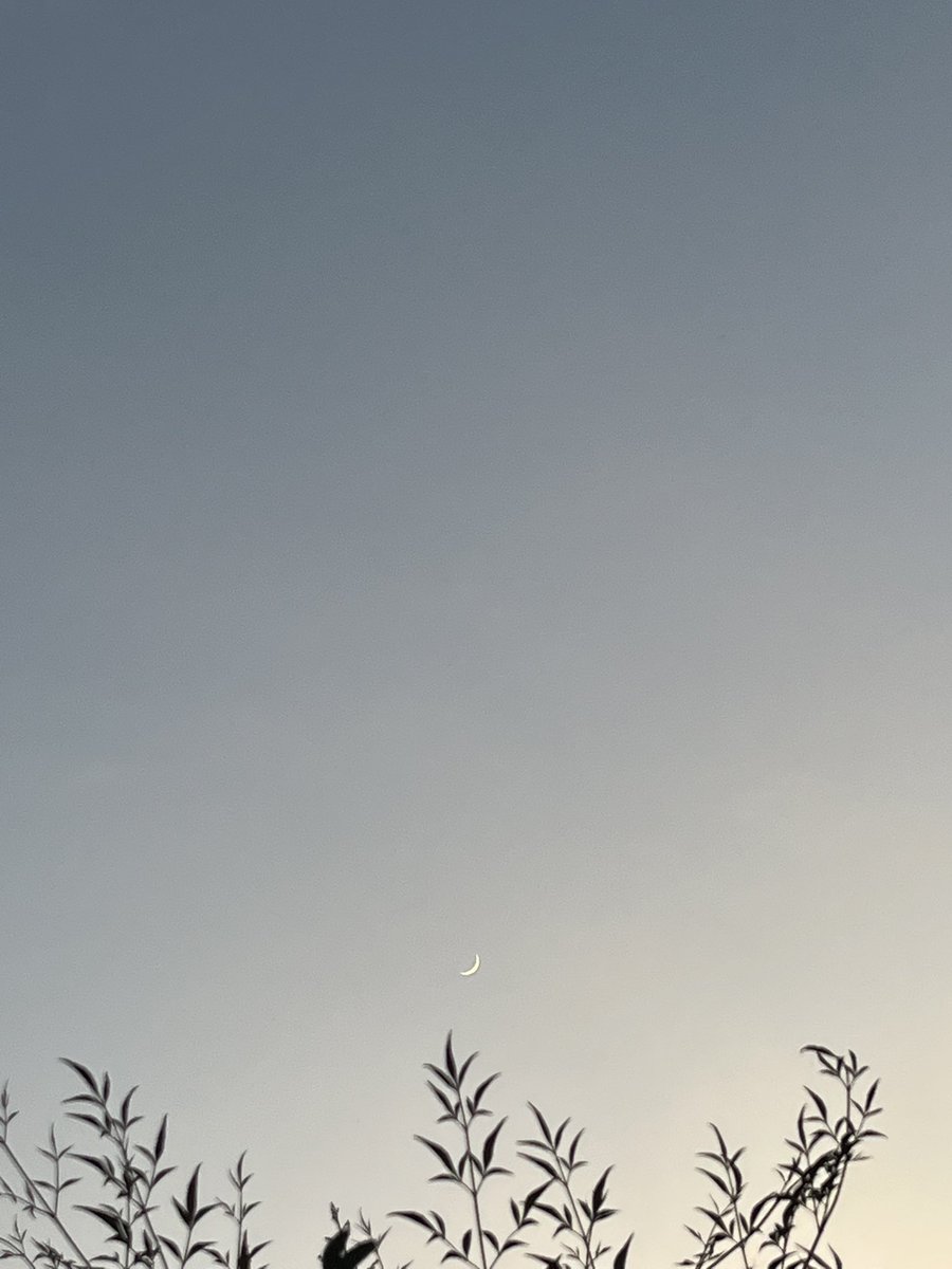 ponta_ss's tweet photo. 今日も暑い一日でしたね
でもいいお天気で
風もあり
素敵なお月さまにも会えました
お疲れ様でした
#お月さま 
#空 https://t.co/pLFc4s2J9M