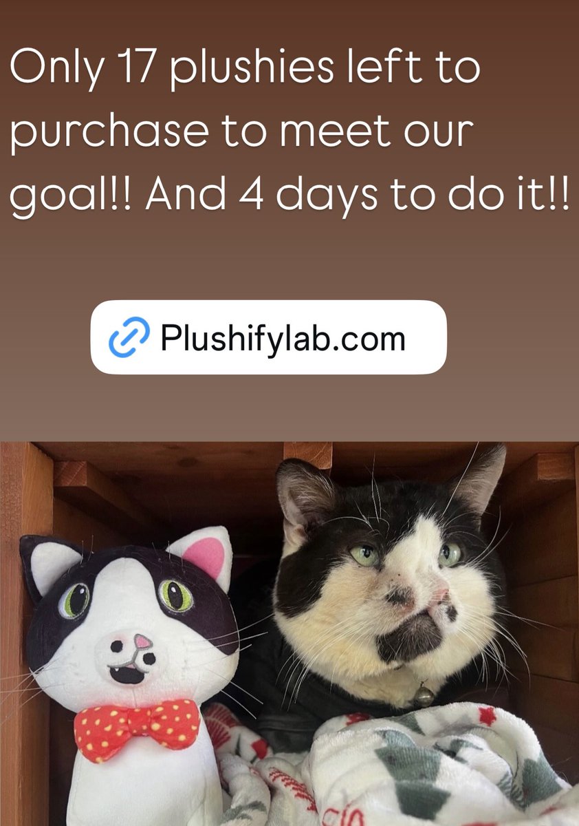 MemphisNose's tweet image. plushifylab.com/products/memph…
Only 17 needed to purchase to make this plushie campaign successful 👏🏼🚨‼️🎉 can we do it? Please share like crazy!!