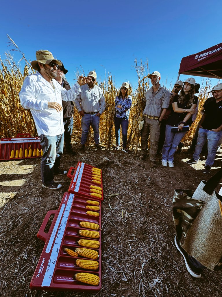 Luego de 18 años en Corteva/Dow, dejo de pertenecer a la compañía. Estoy feliz por cada segundo vivido. Me forme y pude crear acciones que enriquecieron a quienes participaron y a mí. Fui libre, genere información y me diverti. Y lo mas importante, dejo muchos amigos. Gracias!!!