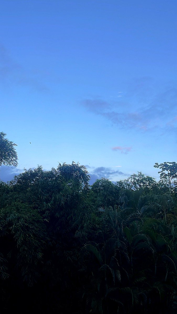 Buen día! Feliz sábado. #DesdeElOasis