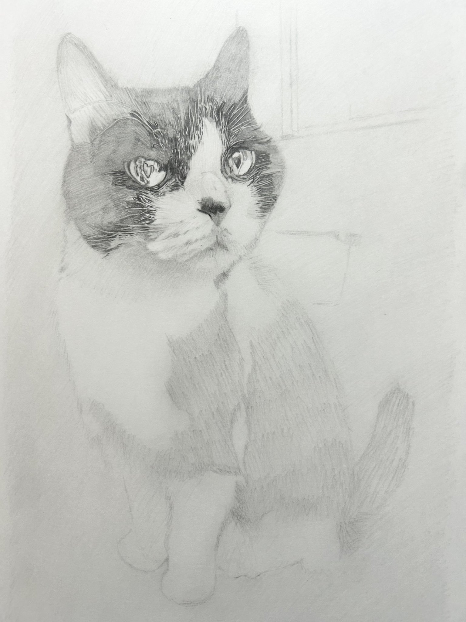 猫の鉛筆画の絵 hqdefault.jpg