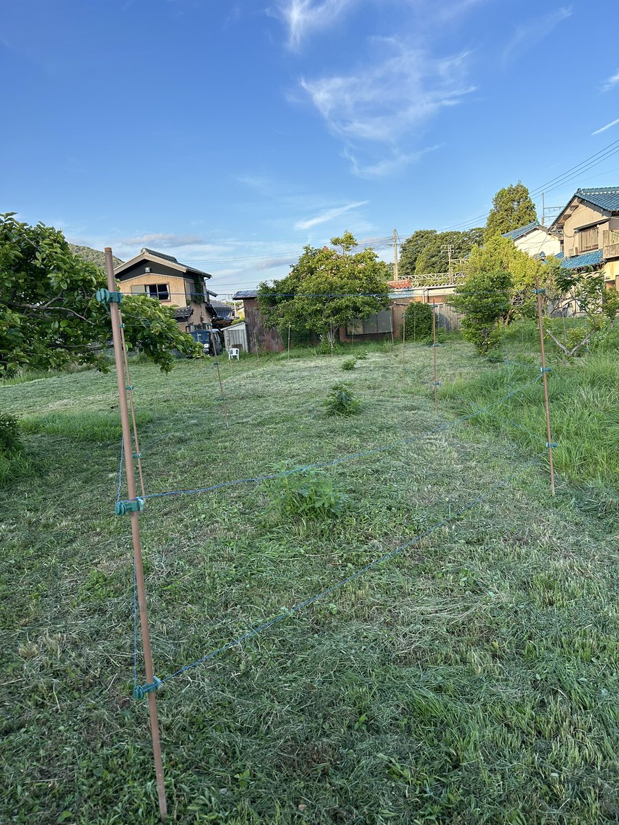 鹿🦌さん、もう入れません。電気が流れてます。気をつけて。イチジクさん、もう頭かじられません。ご安心ください。