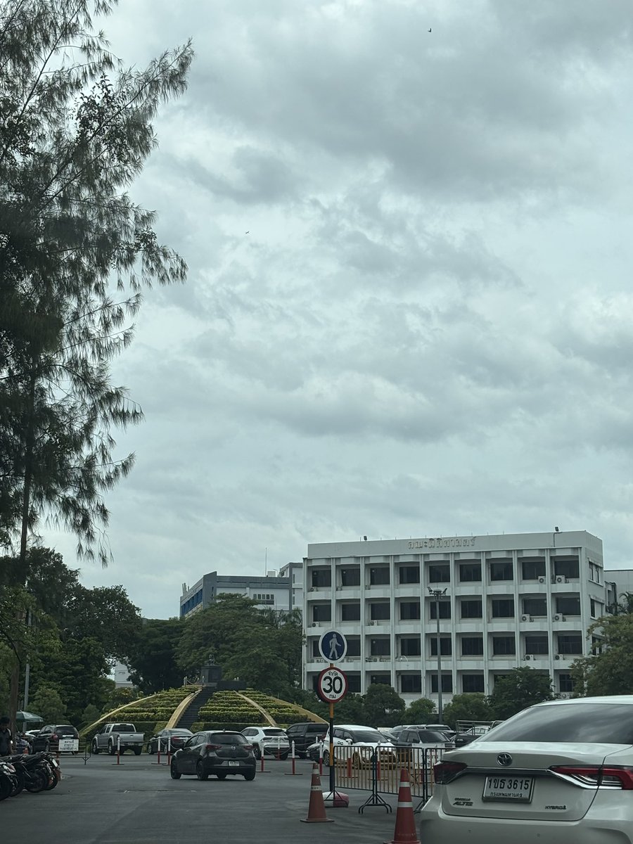 stdrojesy's tweet image. 