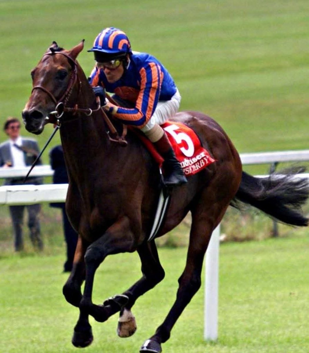 Montjeu completed the 1999 Prix du Jockey Club/Irish Derby double.  A detached last of the ten runners at halfway, he scythed through the field at the Curragh with the minimum of fuss to defeat Epsom runner-up Daliapour by 5 lengths. The champion 3-year-old of Europe was crowned.