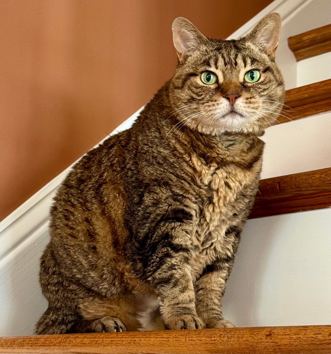 I do a thing called what I want