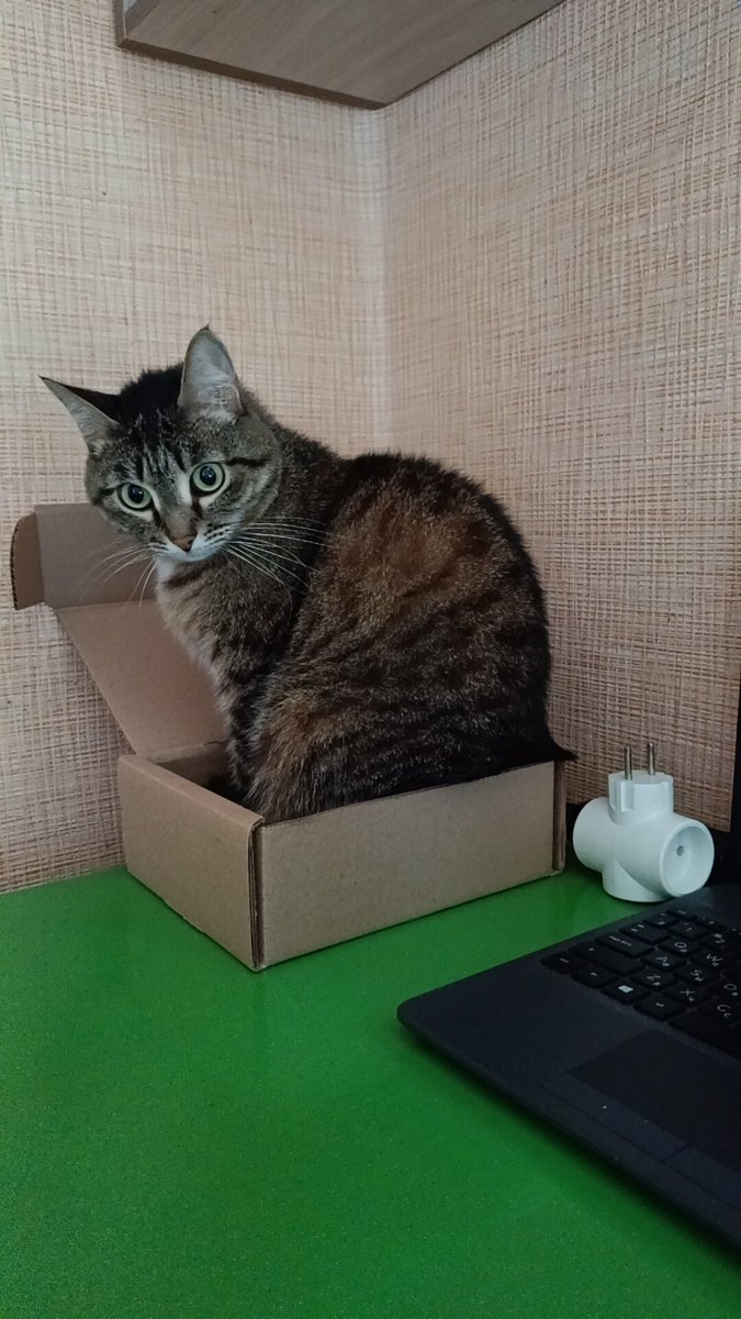 Если вы это видите, опубликуйте случайную фотку из галереи