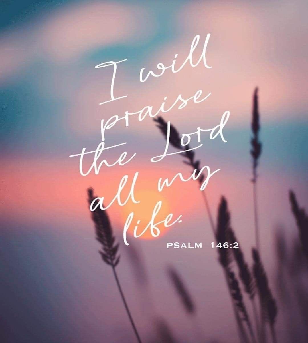While I live I will praise the LORD; I will sing praises to my God while I have my being.

Psalm 146:2