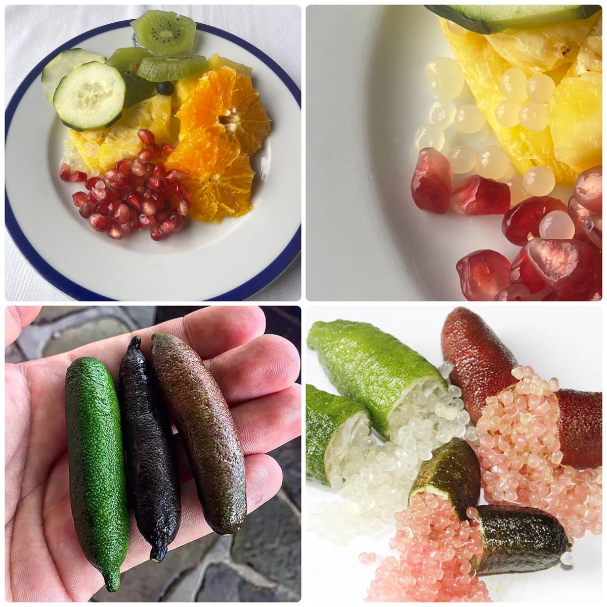 CameronLabUNC's tweet image. Well, I’ve blown the chronology of my experience, but I must post this one first for me from breakfast this morning. At the fruit table, there was a dish labeled “citrus caviar.” I became intrigued. These are the seeds from a finger lime. What is a finger lime? I’ll let those…