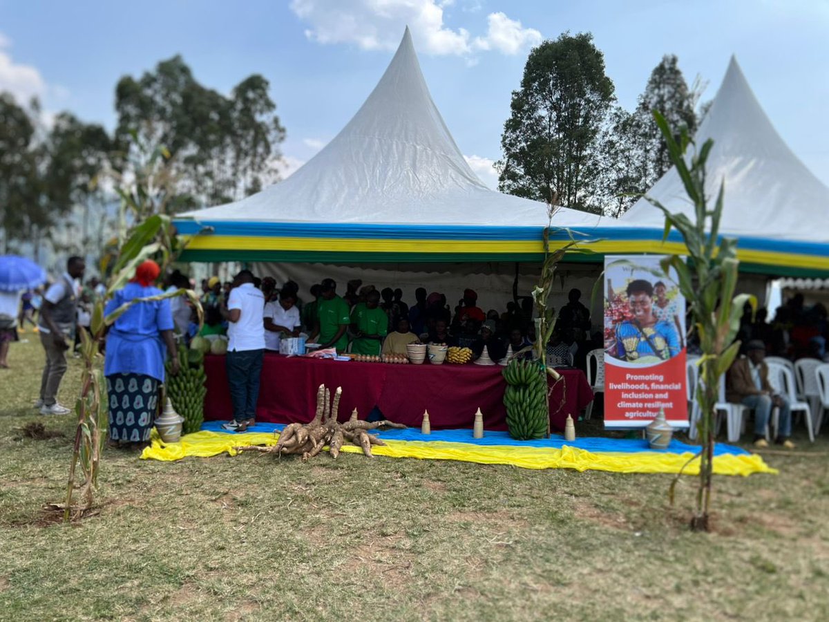 AEE RWANDA (@aeerwanda) on Twitter photo @AEE_Rwanda, in partnership with @WorldVisionRw, @NCDA_Rwanda& <a href="/NgororeroDistr/">Ngororero District</a>, has launched
Professional Umuganda an initiative to prevent & respond to malnutrition in children under 5.Children are screened & rehabilitated over 12 days using the Positive Deviant Hearth model. @AEE_Rwanda, in partnership with @WorldVisionRw, @NCDA_Rwanda& <a href="/NgororeroDistr/">Ngororero District</a>, has launched
Professional Umuganda an initiative to prevent & respond to malnutrition in children under 5.Children are screened & rehabilitated over 12 days using the Positive Deviant Hearth model.