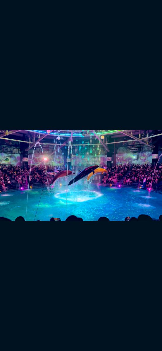 Garuda4222's tweet photo. 1人アクアパーク満喫🐬🩵
久しぶりに充実したおやすみ🐟 https://t.co/l0EdxfE9Qe