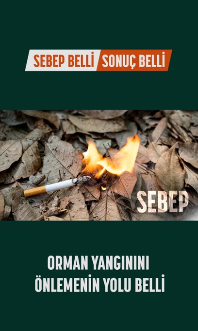 The social media post from Orman Genel Müdürlüğü (@OGMgovtr) contains a series of images aimed at raising awareness about forest fires. The first image shows a lit cigarette on dry leaves with the text "SEBEP" (Cause) and "ORMAN YANGININI ÖNLEMENİN YOLU BELLİ" (The way to prevent forest fires is clear). The second image depicts a campfire with the same "SEBEP" text, followed by an image of a forest fire with "SONUÇ" (Result). The third image shows a cigarette butt among dry leaves with "SEBEP", followed by another forest fire image with "SONUÇ". The final image shows discarded glass bottles in a forest with "SEBEP", and the last image is of a forest fire with "SONUÇ". The post emphasizes the clear cause and effect of human actions leading to forest fires and urges the public to avoid behaviors that could start fires to ensure forests #HiçYanmasın (Never Burn).
