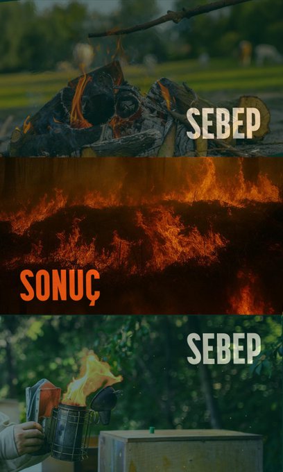 The social media post from Orman Genel Müdürlüğü (@OGMgovtr) contains a series of images aimed at raising awareness about forest fires. The first image shows a lit cigarette on dry leaves with the text "SEBEP" (Cause) and "ORMAN YANGININI ÖNLEMENİN YOLU BELLİ" (The way to prevent forest fires is clear). The second image depicts a campfire with the same "SEBEP" text, followed by an image of a forest fire with "SONUÇ" (Result). The third image shows a cigarette butt among dry leaves with "SEBEP", followed by another forest fire image with "SONUÇ". The final image shows discarded glass bottles in a forest with "SEBEP", and the last image is of a forest fire with "SONUÇ". The post emphasizes the clear cause and effect of human actions leading to forest fires and urges the public to avoid behaviors that could start fires to ensure forests #HiçYanmasın (Never Burn).