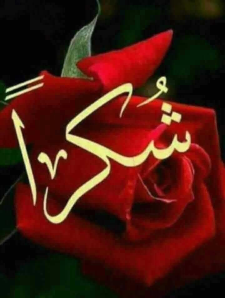 Bugg86924394's tweet photo. @CheKrishnaCk_ https://t.co/rpUAH8gUJU