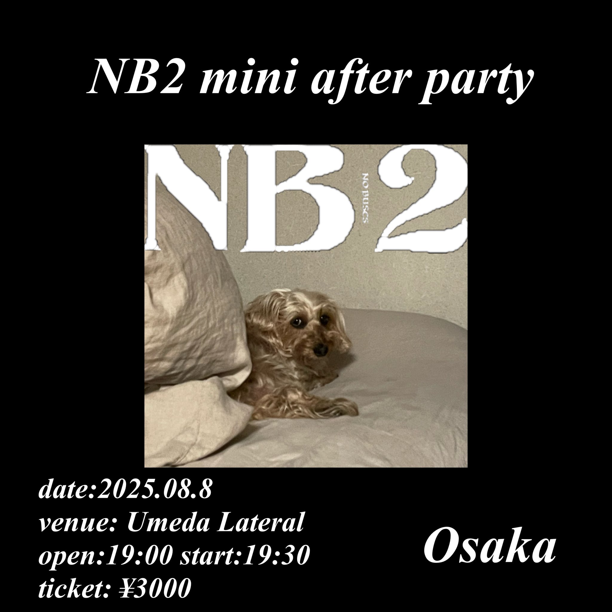 【goco様】NO BUSES ノーバシーズ　CDセット　サイン入り 71xB0TbJP8S.jpg