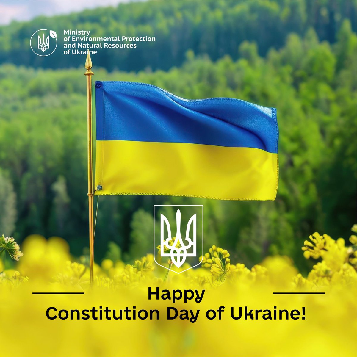 Article 50 of 🇺🇦Constitution claims, that everyone has the right to a safe environment and to compensation for damage caused by violation of this right! 

By efforts to bring russia to justice for its environment crimes we follow our Fundamental Law.

Happy Constitution Day, 🇺🇦!