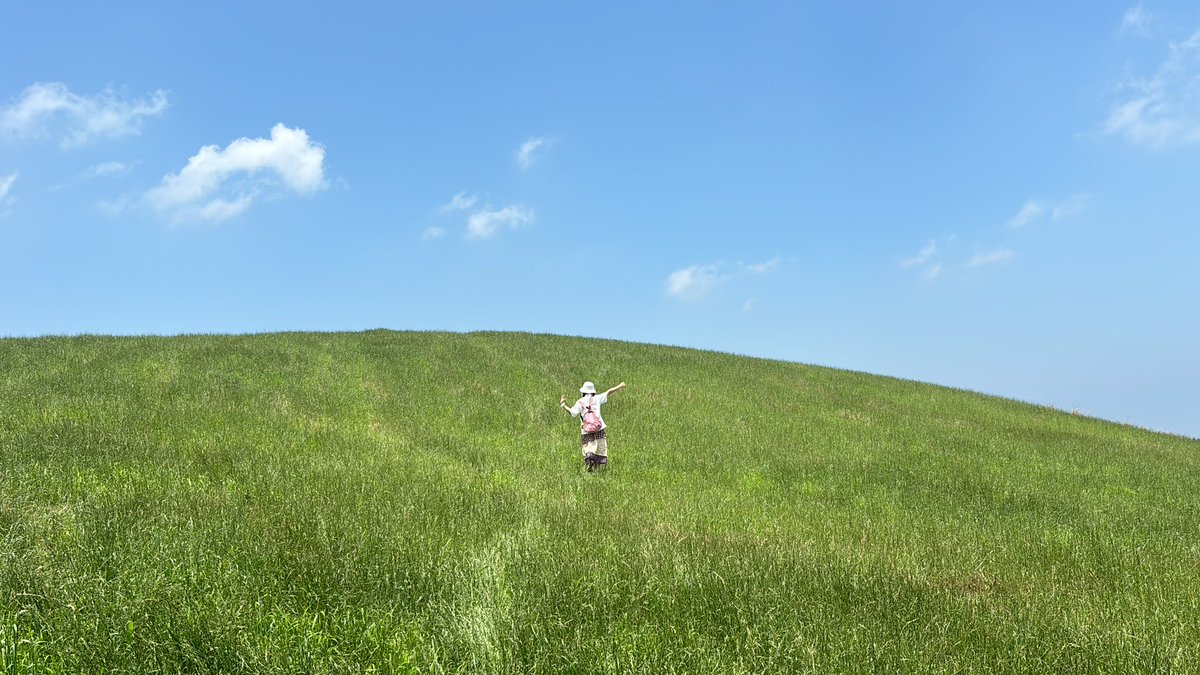 onigirisiru's tweet image. 6월의 제주 여행 타래 🌿