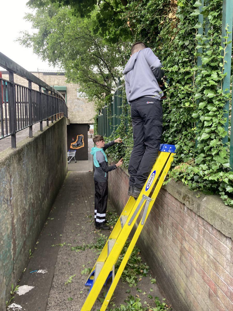 artilleryyc's tweet image. Saturday morning with a little bit of weeding, cutting back bushes and painting out graffiti to spruce up the flats at the bottom the seven hills. The lads really took to the painting…