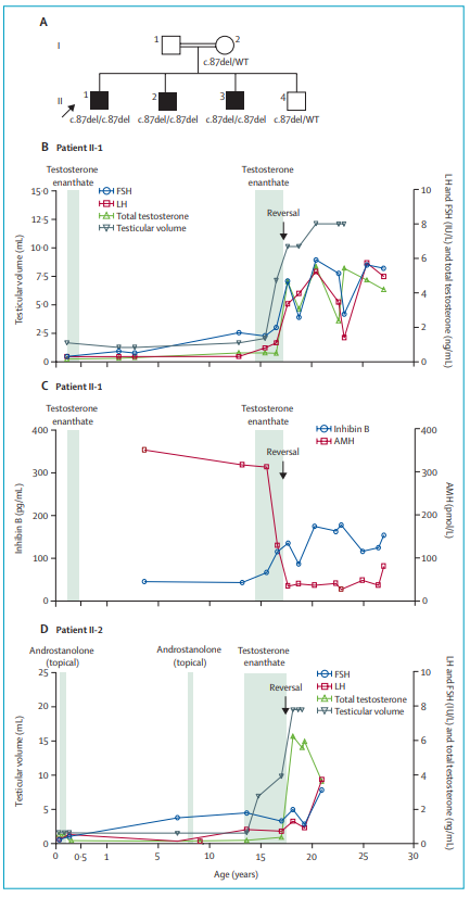 The Lancet Diabetes & Endocrinology tweet media