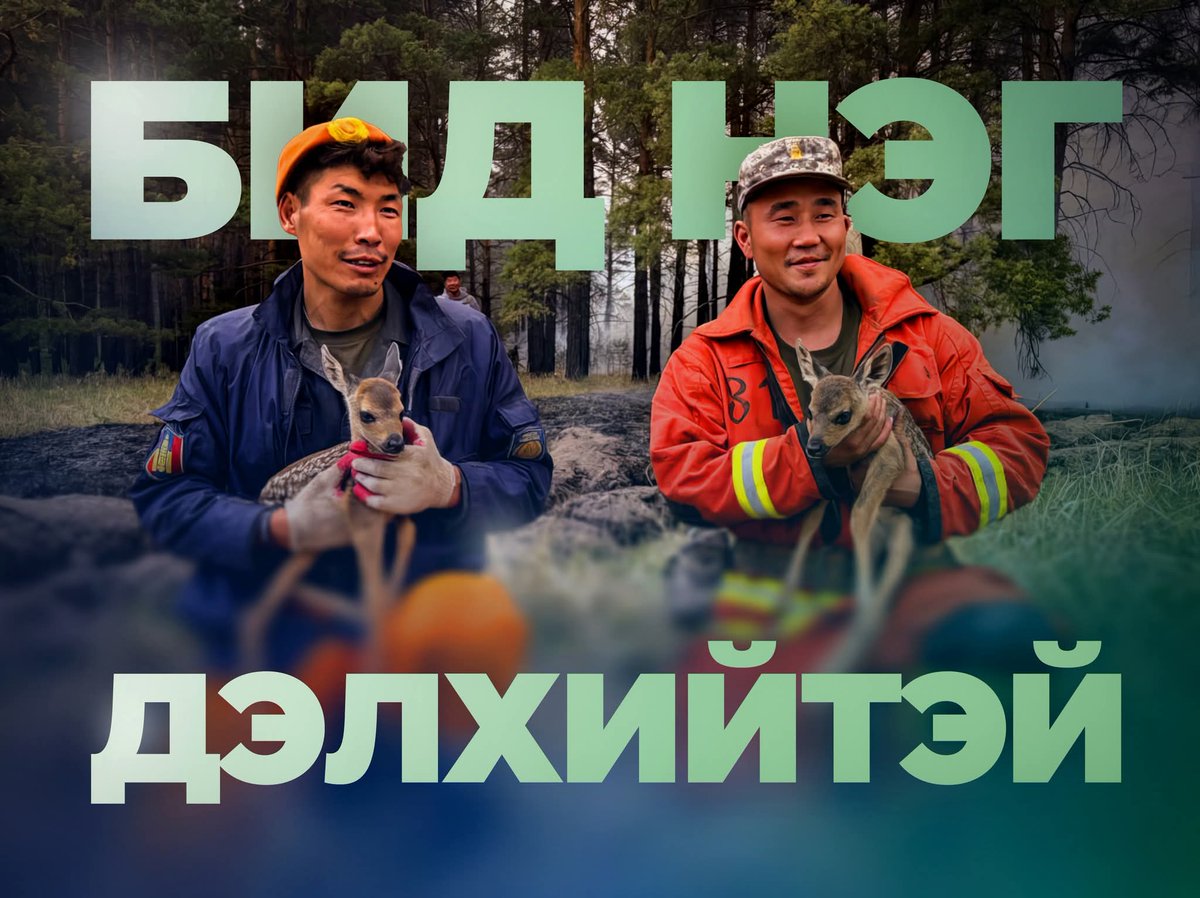 🤎🤎🤎 ЭХ ОРОН, ГАЗАР НУТАГ, АМЬДРАЛАА ХАМГААЛЪЯ!
УНАГАН БАЙГАЛИА БИД ӨӨРСДӨӨ ХАМГААЛНА!

#ХамтынХүч 
#ТүймрийнМэдээ 
#ОнцгойБайдал 
#Сэрэмжлүүлэг 
#ИргэнБүрХариуцлагатай 
#Нэгдэцгээе 
#2025Түймэр