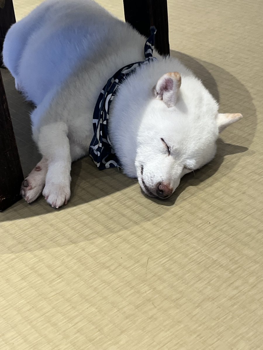 🤦‍♂️😆🤦‍♂️
#정승환 #スンファン #ATBO #jeongseunghwan #오늘뭐했씅 #시바봤씅