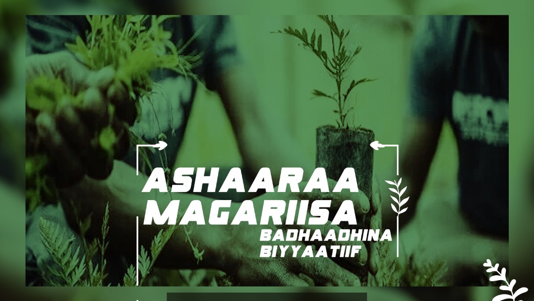 debebegeleta23's tweet photo. Planting the seeds  for our development! https://t.co/Asn3Pg5PiX