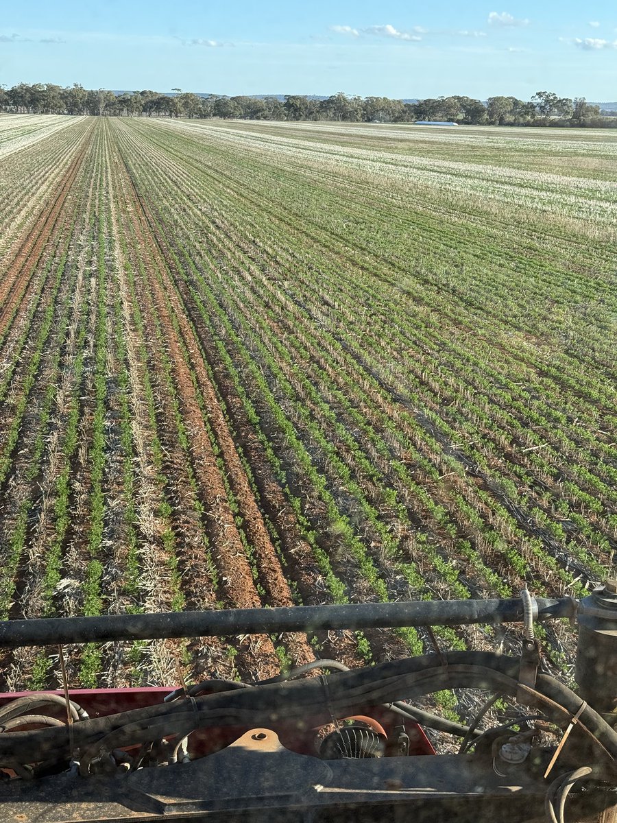 Nick Eckermann tweet media