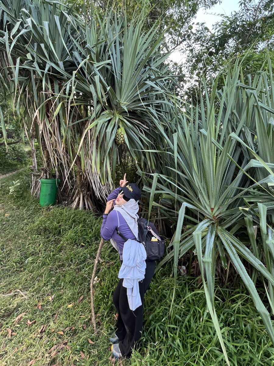 lalakkk🌱 tweet media