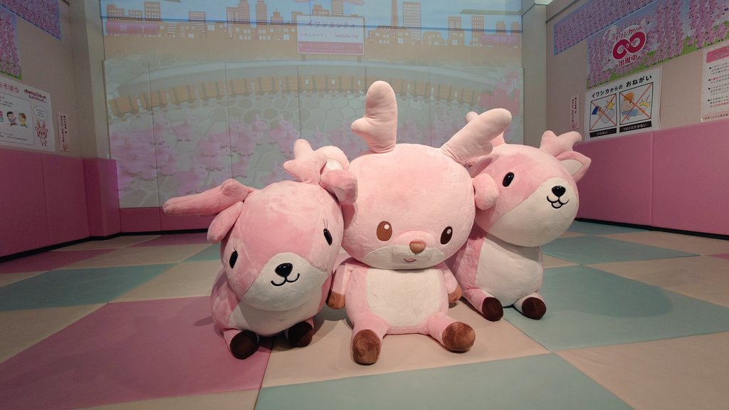 IWASHIKA0410's tweet image. 夕方に子供たちが帰ったあと私がこのコたちに（今日もお疲れ様！かわいいコたち♥️）と心の中で言って1匹ずつマッサージをしながらキレイに並べます!本当にこのコたちが大好きです♥️