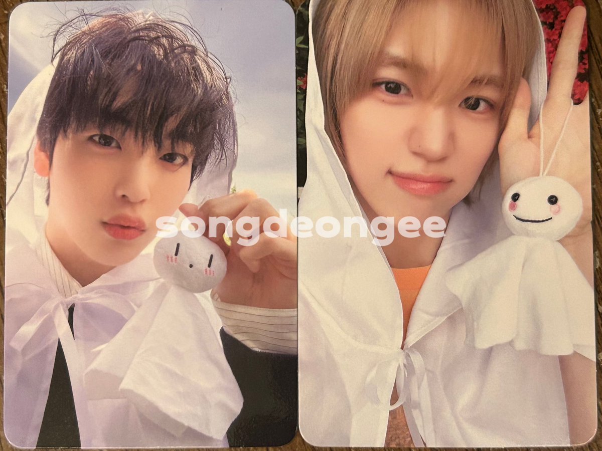 송덩이 tweet media