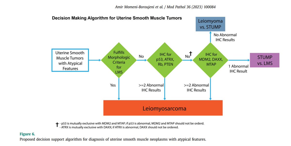 Proposed decision algorithm for diagnosis of uterine smooth muscle neoplasms with atypical features
94% of LMS showed ≥ 1 genomic alteration involving TP53, RB1, ATRX, PTEN, CDKN2A, or MDM2, with 80% showing alterations in ≥ 2 of these genes.

Two or more abnormal IHC results