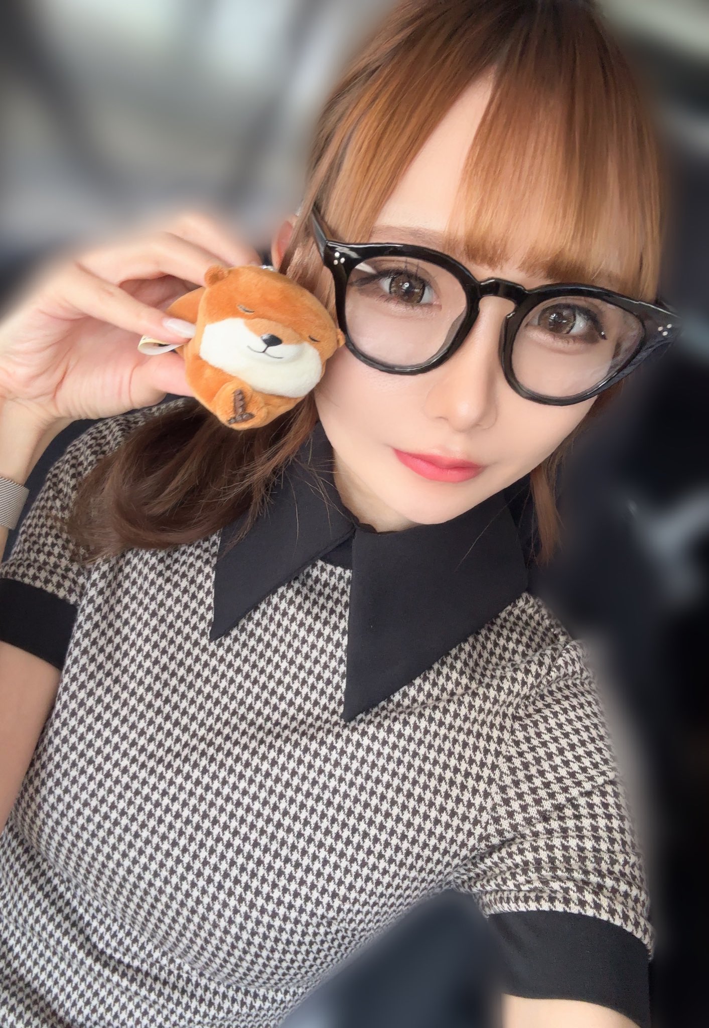 🌟⭐️🍩しおちゃん🐈🐾🐷🍟🐶❤🐥🍄👻🌸🍥 (@_Daiki1224) / X