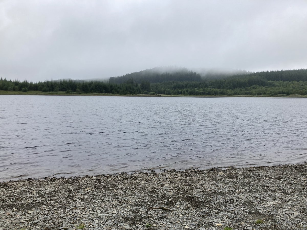 Judith Morris tweet media