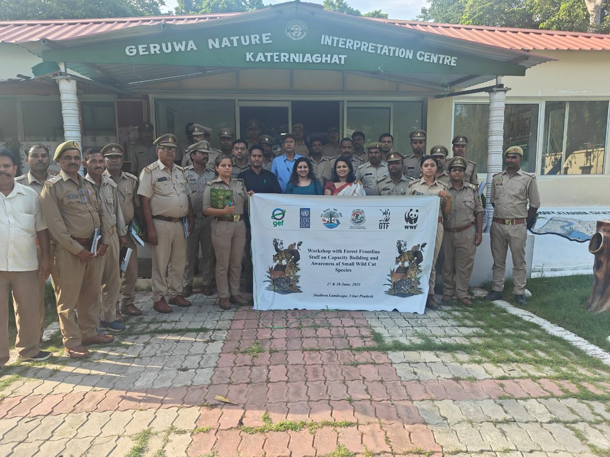 DudhwaTR's tweet image. A workshop on Small Cat Conservation was held at Katarniaghat WLS by @WWFINDIA & Global Tiger forum 100+ frontline staff trained on small cats.
#TeraiArcLandscapeconservation
#SmallCats #NatureGuardians
@moefcc @ntca_india @UpforestUp @WWFINDIA @raju2179 @Unitedfortigers