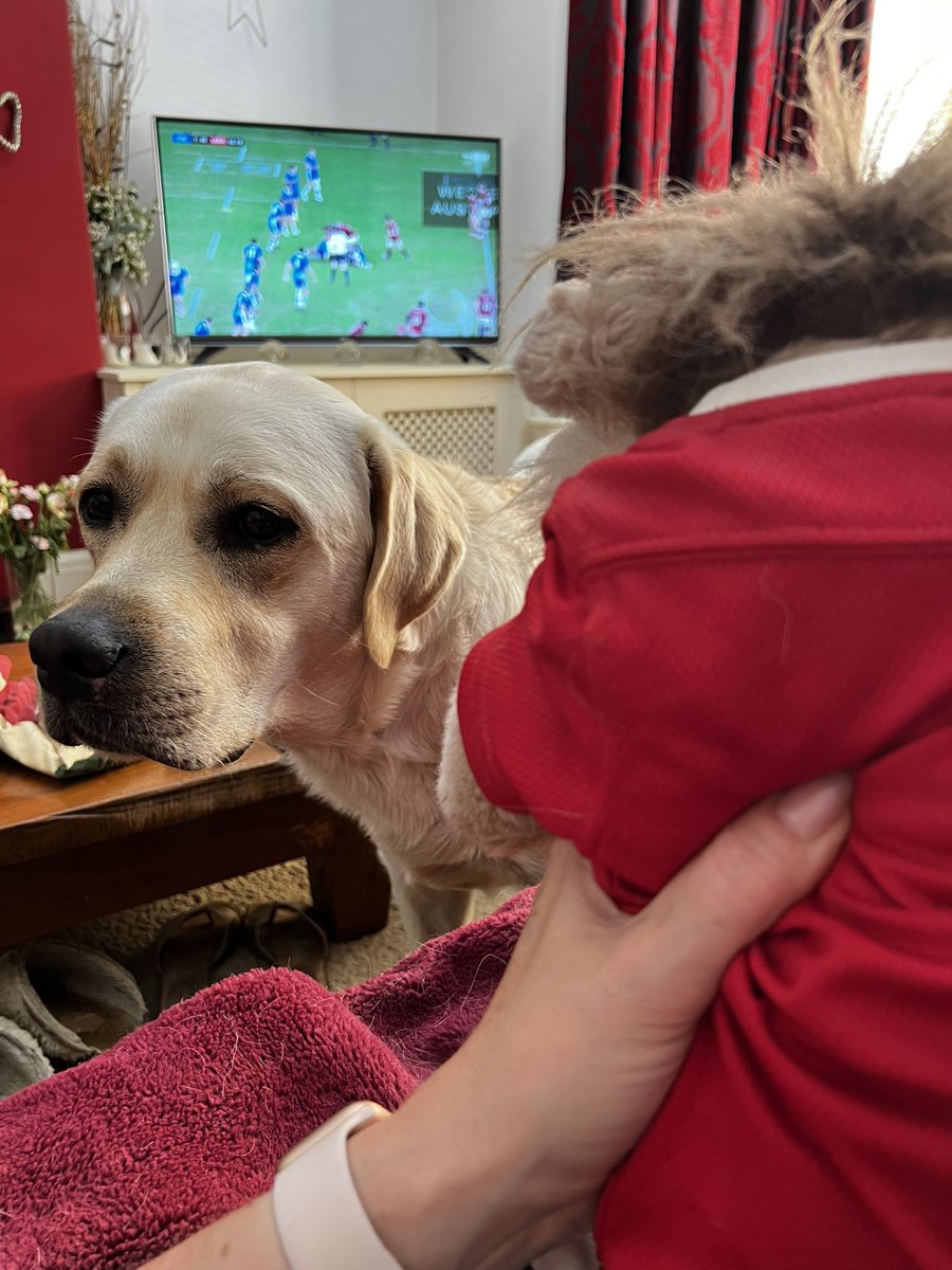 Getting in on the rugby action today as my pal <a href="/Shamwari09/">Shamwari</a> is getting tour ready.