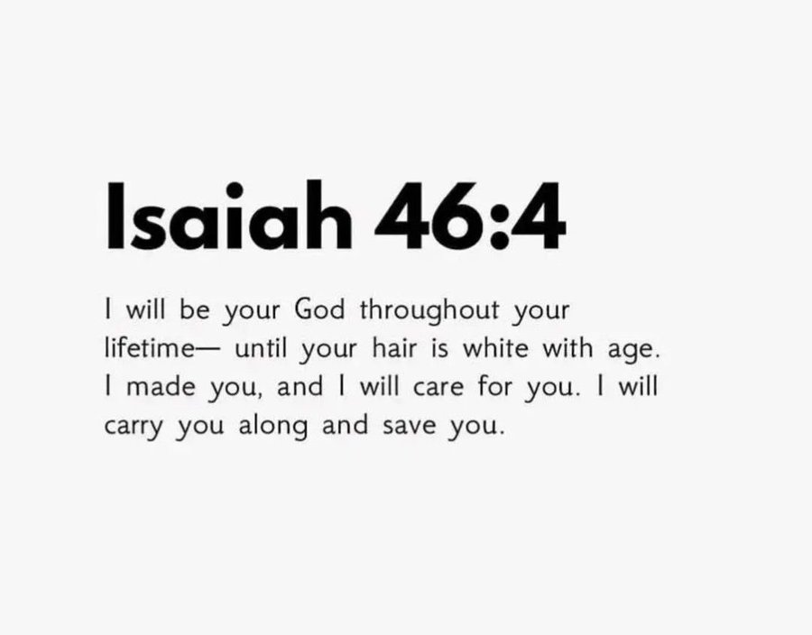 Bible 365 (@bible365_) on Twitter photo 