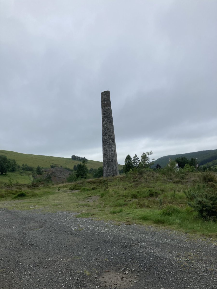 Judith Morris tweet media