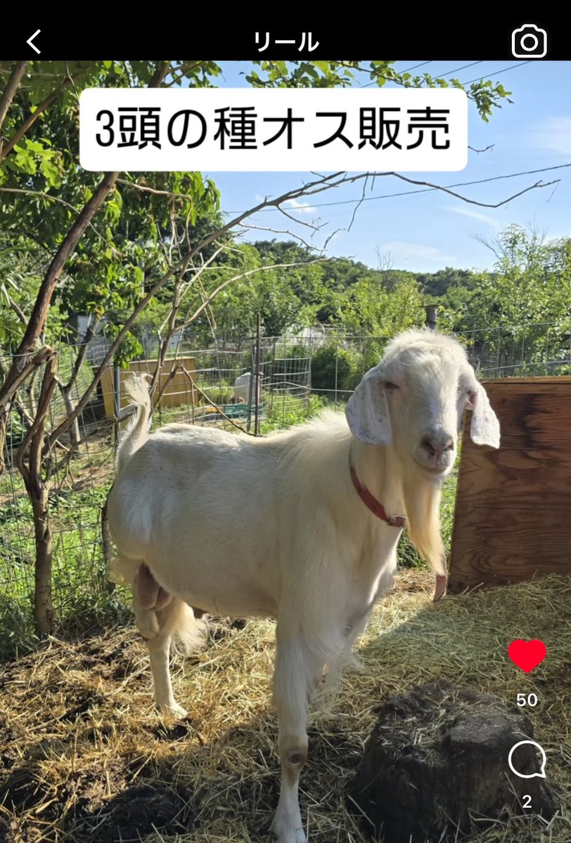 エリック🌺ゆるニート大家 tweet media