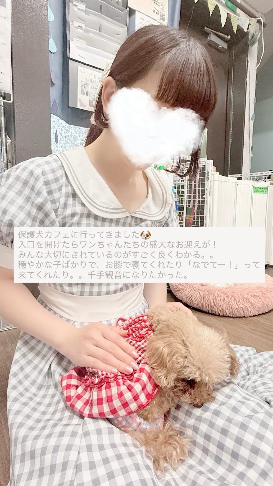 ビタミンM 　連絡ページ fortunerest_info on X: 