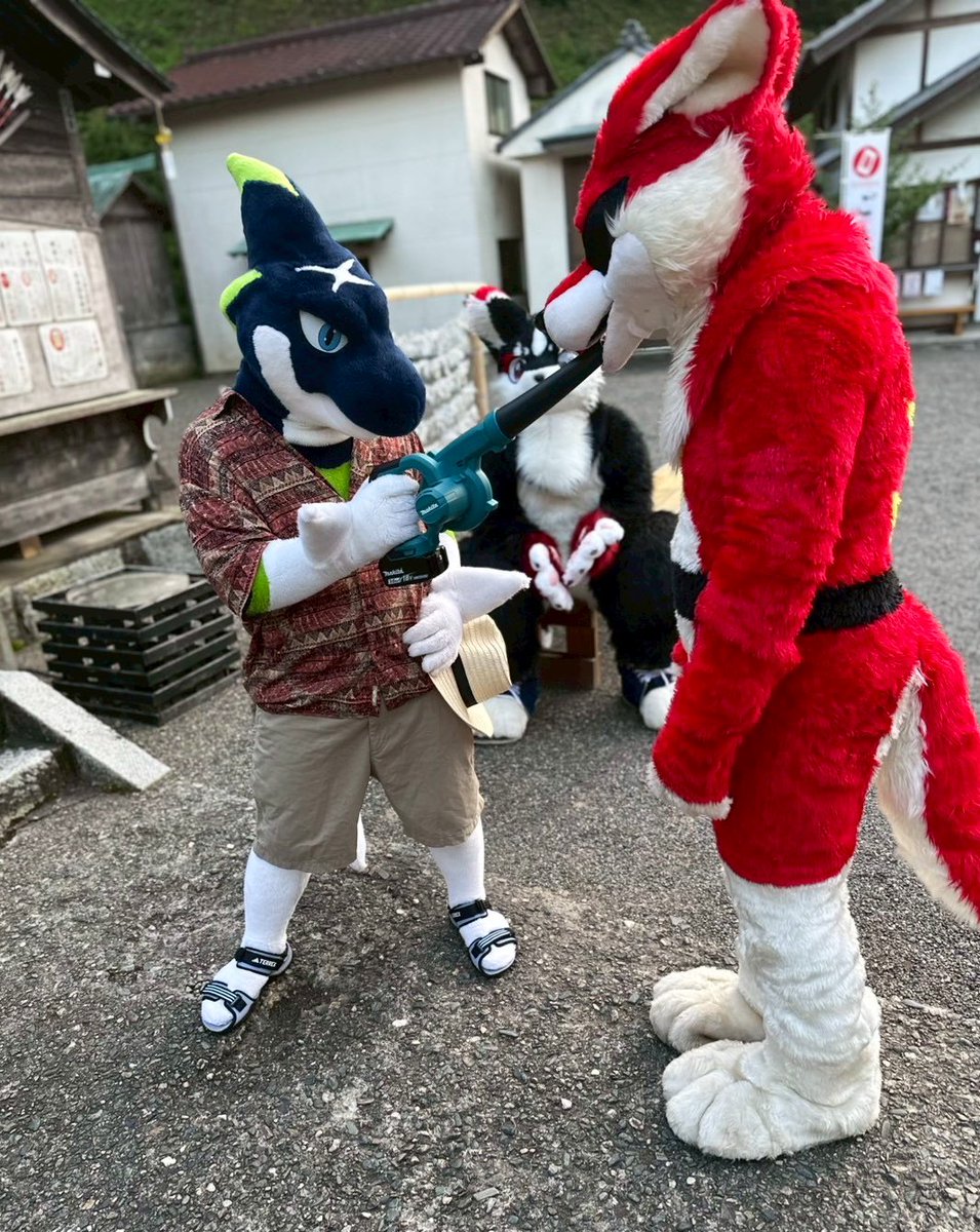 元気を注入するサメ🦈🌪️